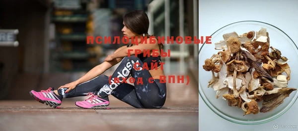 кокс Алексеевка