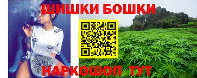 гашик Жуковский