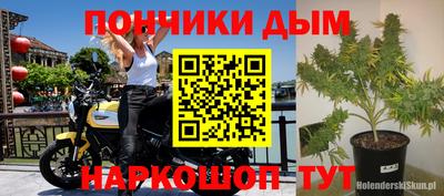 spice Заводоуковск