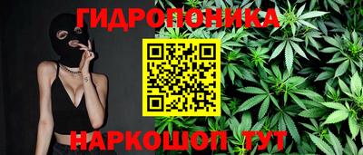 гашик Жуковский