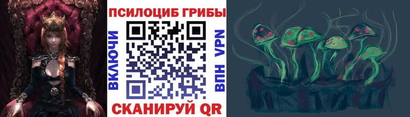 Галлюциногенные грибы Psilocybine cubensis  блэк спрут ТОР  Нижний Новгород 