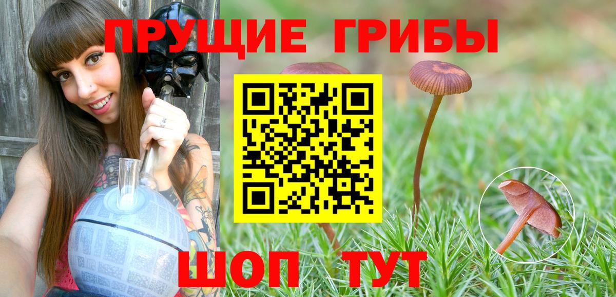 Нижний Новгород  Псилоцибиновые грибы прущие грибы  Вход с VPN 