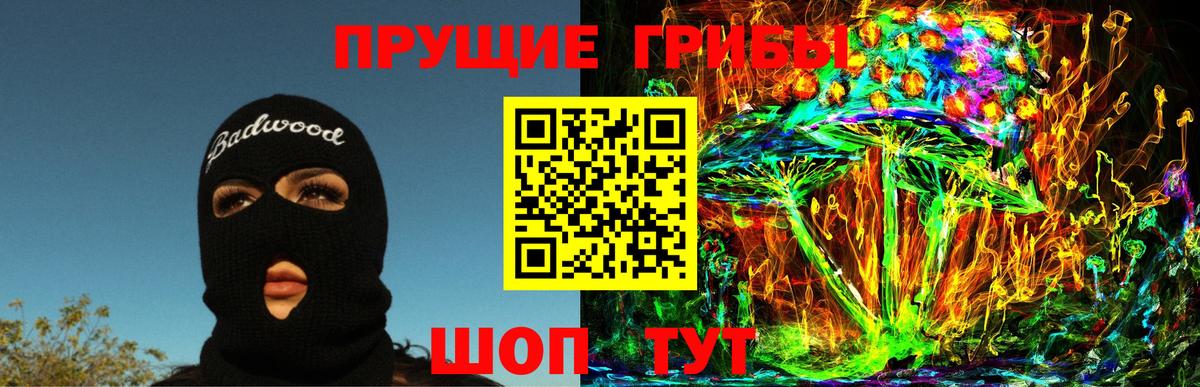 Псилоцибиновые грибы Psilocybine cubensis Нижний Новгород